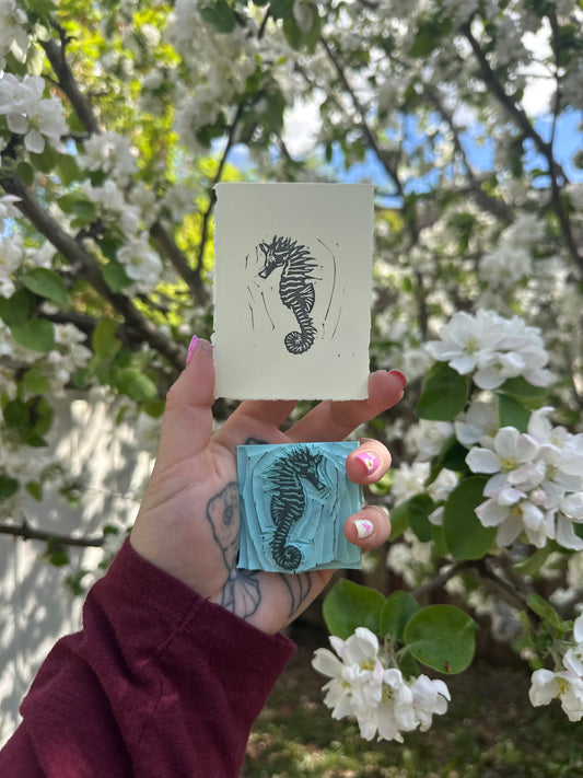 seahorse