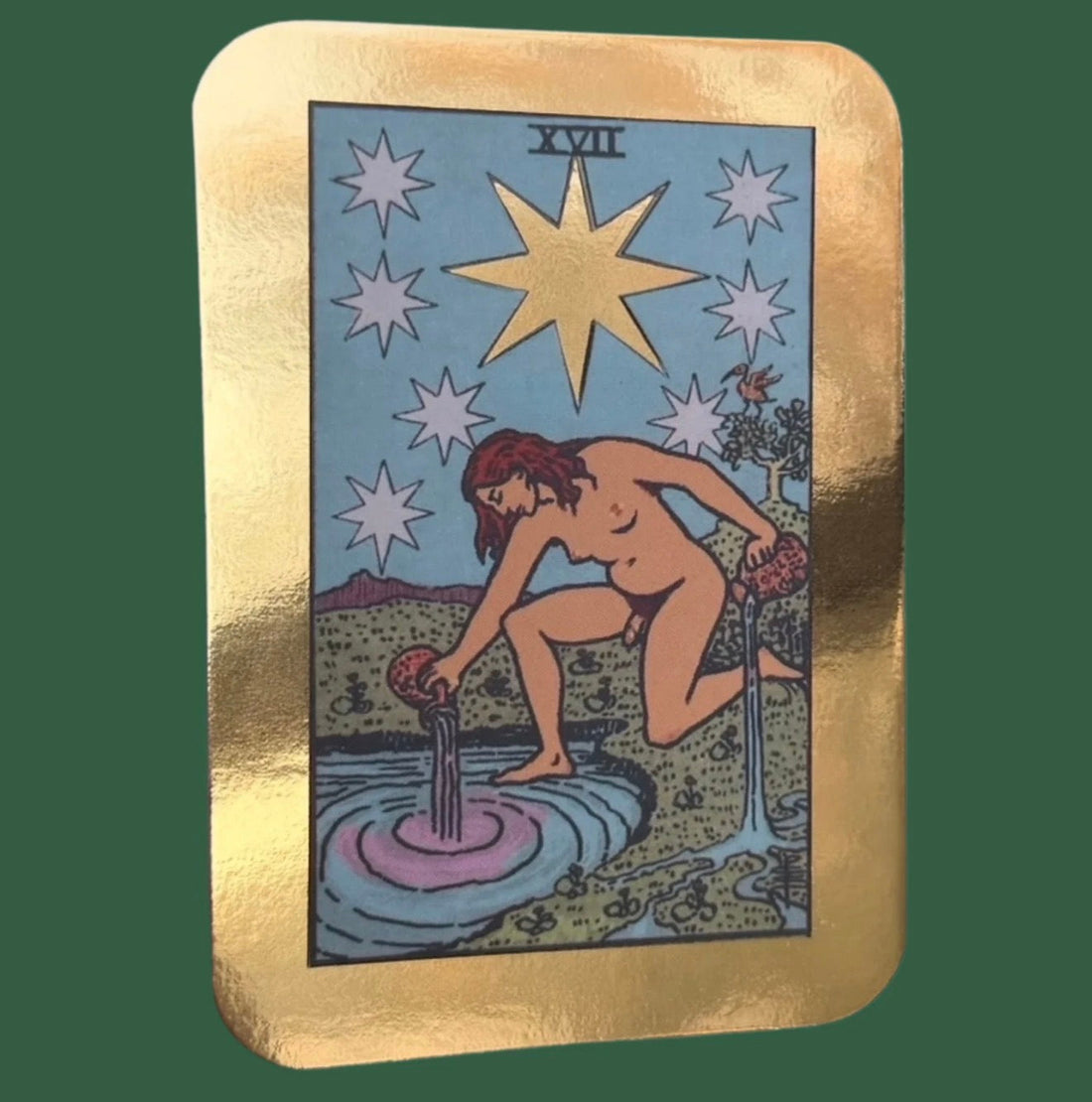 Transgender The Star