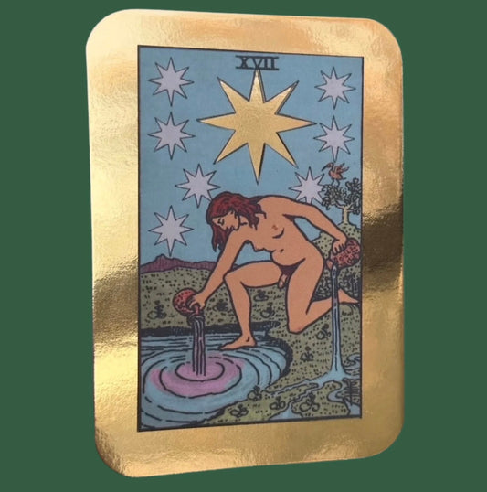 Transgender The Star