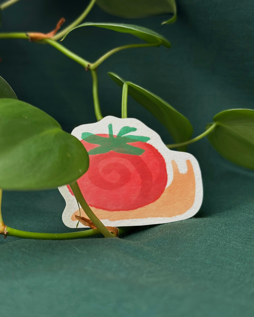 tomato snail