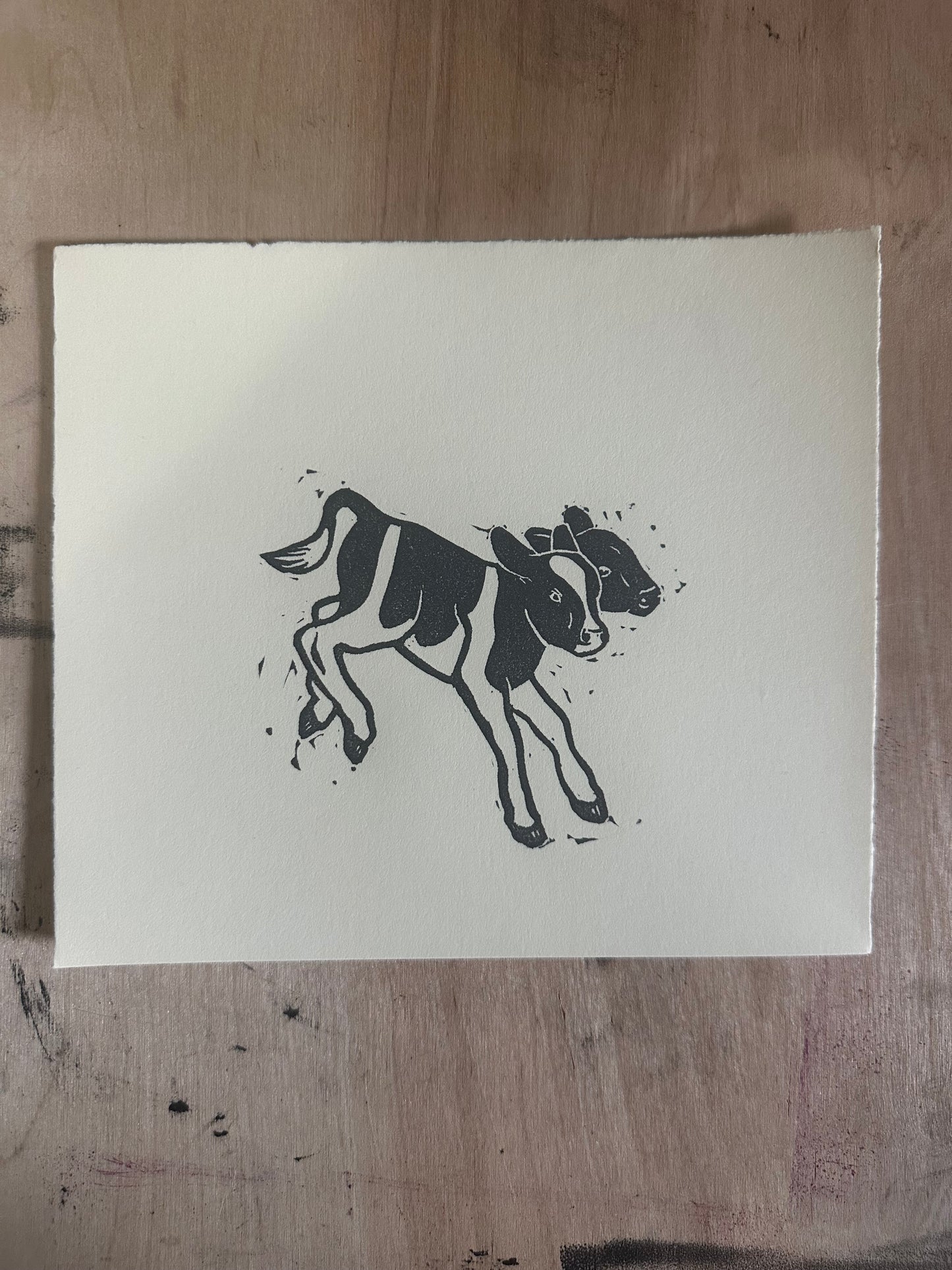 two headed calf testprints
