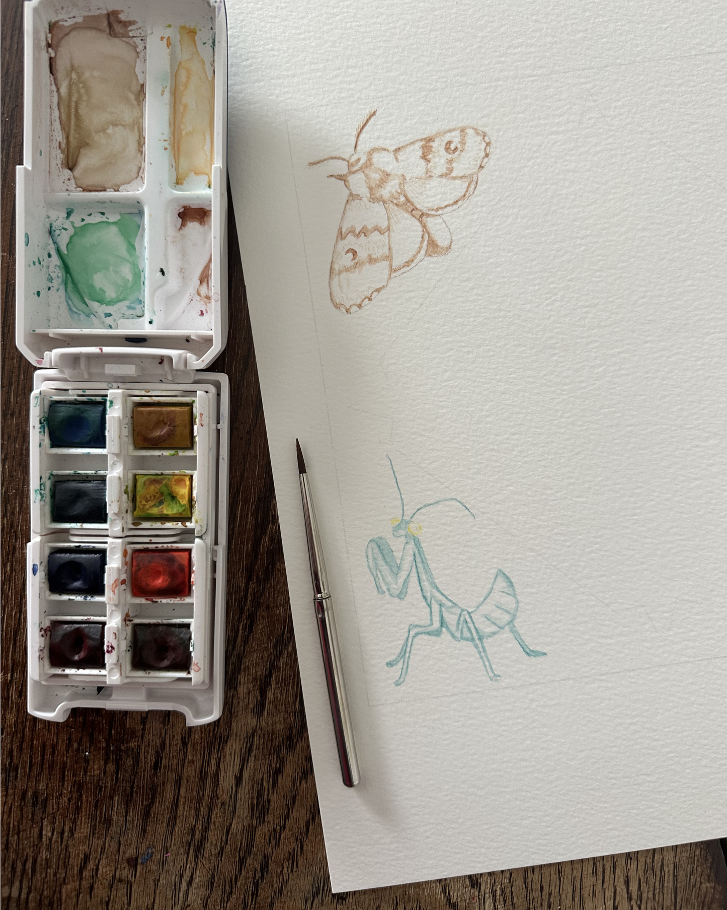 talk to bugs - watercolour poem print