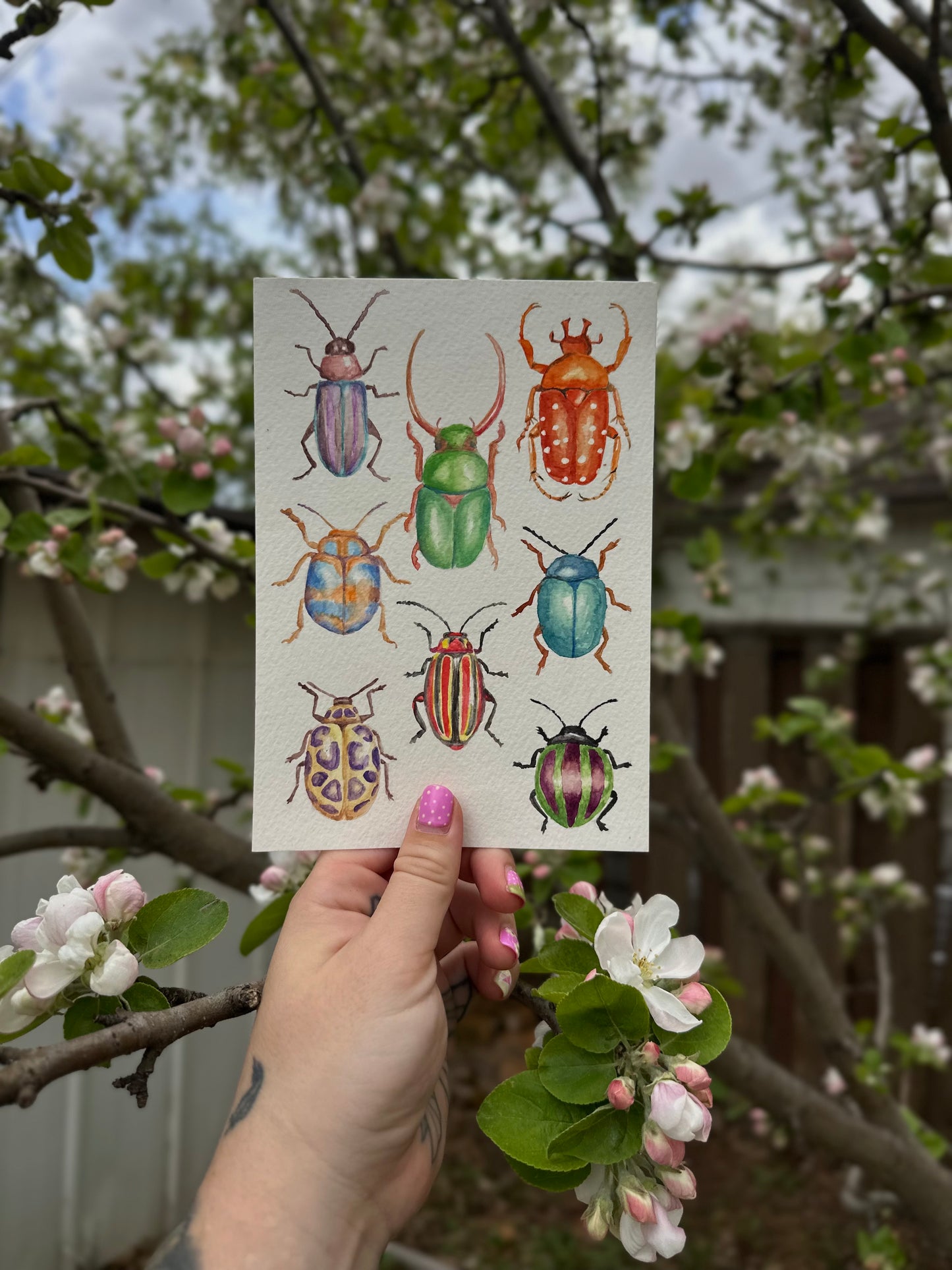 beetles - watercolour print