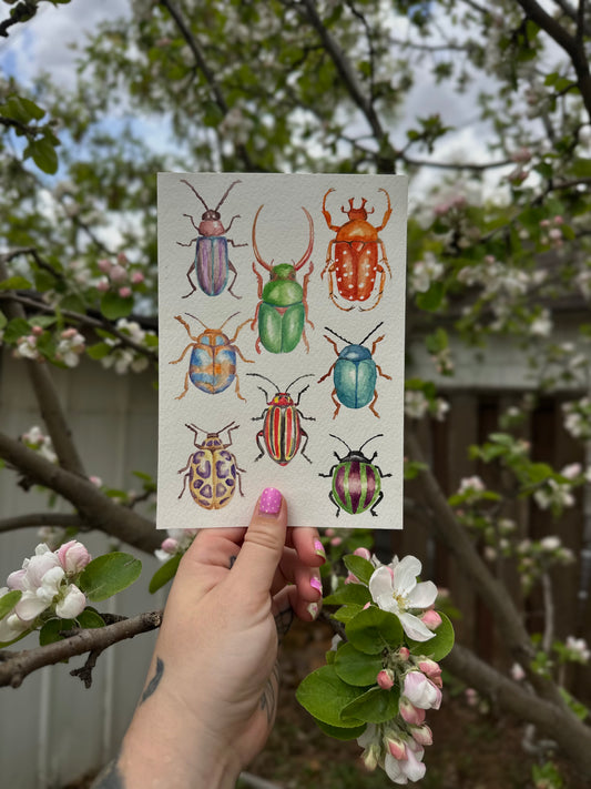 beetles - watercolour print