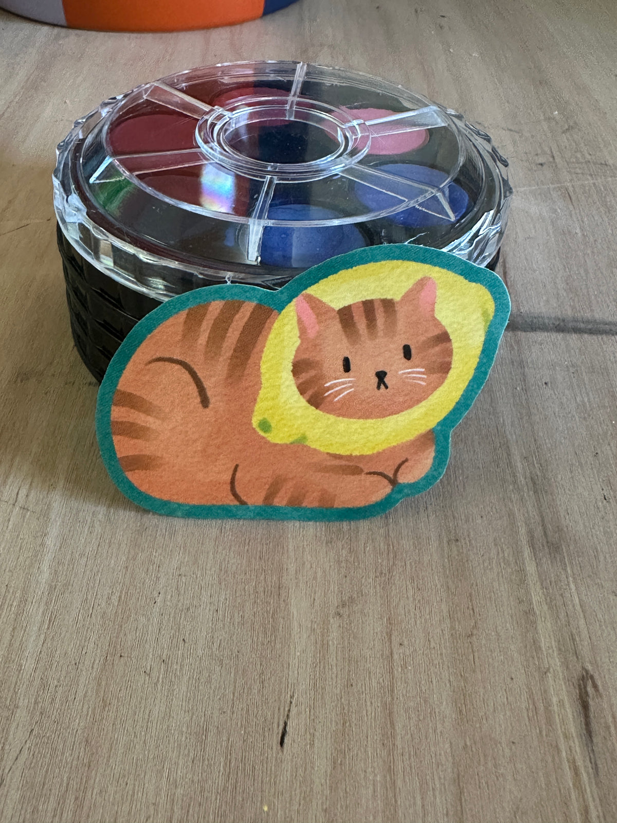 fruity felines: gay cat sticker pack