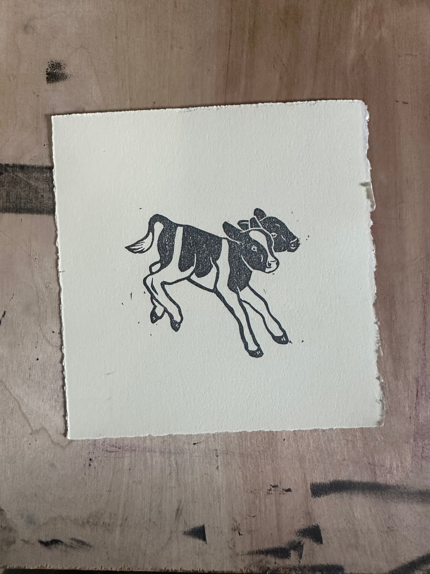 two headed calf testprints